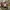 Timberland Streetwear Y2K Boots Wanita tan photo 2