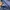Nautica Gorpcore Windbreaker Pria blue photo 8