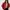 ZARA Vintage Biker Leather jacket Wanita red photo 1