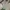 Kapital Kountry Vintage Casual Formal shirt Pria green photo 1