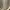 Coach Luxury Shoulder bag Wanita white tan photo 7