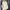 Eider Luxury Casual Sweatshirt Pria tan cream photo 3