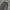 Gorpcore Sweatpants & Joggers Pria gray photo 2