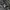 Gorpcore Sweatpants & Joggers Pria gray photo 4