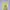 Vintage Y2K Crop top Wanita yellow photo 1