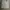 Vintage Short Pria cream photo 2