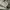Streetwear Casual Casual pants Pria cream photo 4