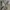 EDWIN Streetwear Casual Casual pants Pria tan cream photo 4