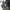 The North Face Gorpcore Windbreaker Pria black photo 4