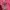 Pancoat Vintage Casual Sweater Wanita pink photo 3