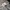 Streetwear Sportswear Windbreaker Pria multicolor photo 8
