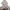 Streetwear Sportswear Windbreaker Pria multicolor photo 2