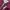 Karl Lagerfeld Luxury Reworked Bomber jacket Wanita purple photo 4