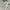 Nike Sportswear Minimalist Windbreaker Pria white photo 5
