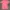 Giordano Casual Wanita pink photo 1