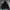Back Number Vintage Track jacket Pria black photo 1