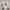 H&M Casual Crop top Wanita white photo 4
