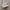 Onitsuka Tiger Casual Sneakers Wanita white pink photo 1