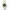 Nixon Streetwear Casual Pria white photo 1