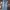 Vintage Y2K Jeans Pria navy blue photo 1
