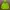 Phenix Gorpcore Sportswear Windbreaker Pria green photo 3