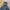 Gorpcore Windbreaker Pria gray blue photo 5