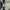 Millet Gorpcore Sportswear Track jacket Pria white photo 7