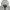 Millet Gorpcore Sportswear Track jacket Pria white photo 2