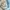 Adidas Casual Track jacket Pria black blue photo 7