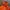 Millet Gorpcore Windbreaker Pria orange photo 5