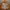 Millet Gorpcore Windbreaker Pria orange photo 4
