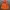 Millet Gorpcore Windbreaker Pria orange photo 3