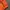 Millet Gorpcore Windbreaker Pria orange photo 7