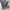 Levi's Vintage Streetwear Kids blue photo 6