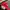 Casual Hat Pria red photo 2