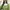 Casual Going out dress Wanita green photo 3