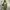Casual Going out dress Wanita green photo 1