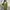 Casual Going out dress Wanita green photo 2