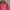 Vintage Bomber jacket Pria pink photo 4