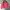 Vintage Bomber jacket Pria pink photo 3