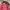 Vintage Bomber jacket Pria pink photo 6