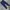 Polo Ralph Lauren Sportswear Casual Pria navy photo 1