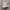 Adidas Casual Sneakers Wanita white pink photo 1