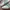 Adidas Casual Sneakers Wanita white green photo 2