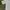 Louis Vuitton Vintage Y2K Formal shirt Pria tan cream photo 3