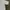 Louis Vuitton Vintage Y2K Formal shirt Pria tan cream photo 4