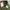 Uniform Bridge Vintage Casual Casual pants Pria khaki photo 5