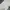 MUSINSA STANDARD Vintage Skater Casual pants Pria white photo 7