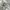 Skater Casual Casual pants Pria white photo 4