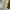 Vintage Y2K Casual pants Pria tan brown photo 4
